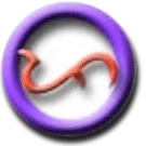 Please click here to enter the site.